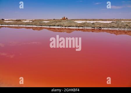 Aus dem roten Solesee kann Salz gewonnen werden. Spezielles Sanddünengelände. Herden von Flamingos (Flamingos). Walvis Bay (Whale Bay), Namibia. Okt. 2019 Stockfoto