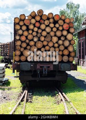 Güterwagen, die mit Holzstämmen auf Eisenbahngleisen beladen sind. Transport von gefällten Wäldern Stockfoto