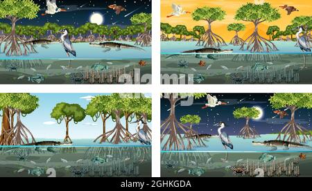 Verschiedene Mangrovenwaldlandschaftsszenen mit Tierdarstellung Stock Vektor