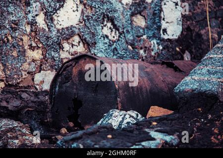 Bidón de Metal deteriado, en balsa de alquitrán y terreno contaminado Stockfoto