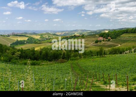 Ländliche Landschaft im Frühling in Langhe bei Dogliani, Provinz Cuneo, Piemont, Italien, UNESCO-Weltkulturerbe. Stockfoto