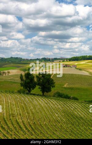 Ländliche Landschaft im Frühling in Langhe bei Dogliani, Provinz Cuneo, Piemont, Italien, UNESCO-Weltkulturerbe. Stockfoto
