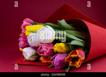 Bunte Tulpen auf rotem Hintergrund. Frühlingsstrauß. Blumen Draufsicht. Schöne Tulpe Blume Hintergrund. Tulpen aus der Nähe Stockfoto