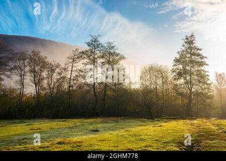 Landschaft bei Sonnenaufgang. Nebel glüht im Morgenlicht über dem Wald auf der Wiese. Magische Herbstlandschaft in Bergen unter einem BL Stockfoto