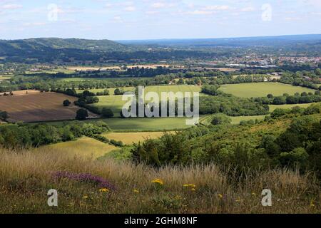 Blick nach Norden in Richtung Petersfield in Hampshire vom Butser Hill in den South Downs, England Stockfoto