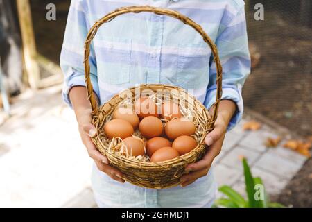 Mittelteil des asiatischen Jungen, der Korb hält und Eier aus dem Hühnerstall im Garten sammelt Stockfoto