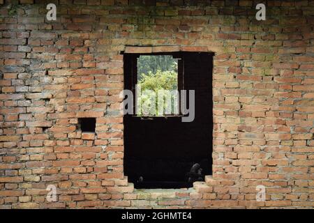 Schöne Aussicht auf die Landschaft durch die Wände eines verlassenen Gebäudes gesehen Stockfoto