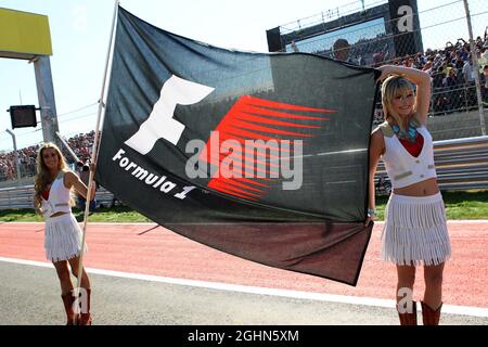 F1-Flagge auf dem Gitter. 18.11.2012. Formel-1-Weltmeisterschaft, Rd 19, großer Preis der Vereinigten Staaten, Austin, Texas, USA, Wettkampftag. Stockfoto