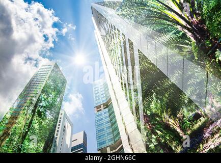 Grüne Stadt - Double Exposure von üppigen, grünen Wald und modernen Wolkenkratzern windows Stockfoto