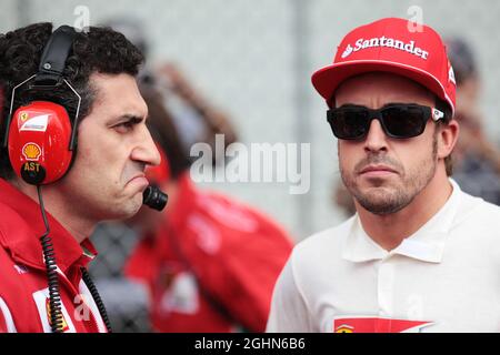 (L bis R): Andrea Stella (ITA) Ferrari Renningenieur mit Fernando Alonso (ESP) Ferrari am Start. 25.11.2012. Formel-1-Weltmeisterschaft, Rd 20, Großer Preis Von Brasilien, Sao Paulo, Brasilien, Wettkampftag. Stockfoto