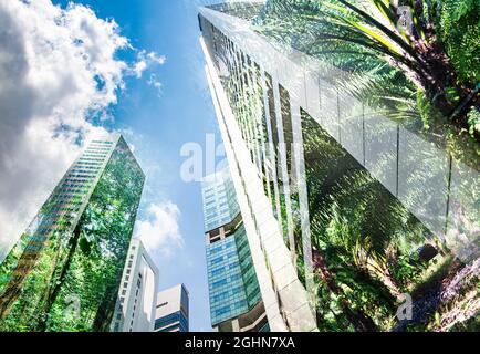 Grüne Stadt - Double Exposure von üppigen, grünen Wald und modernen Wolkenkratzern windows Stockfoto