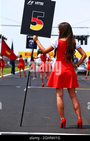 Gittertes Mädchen. 24.07.2016. Formel 1 Weltmeisterschaft, Rd 11, Großer Preis Von Ungarn, Budapest, Ungarn, Wettkampftag. Bildnachweis sollte lauten: XPB/Press Association Images. Stockfoto
