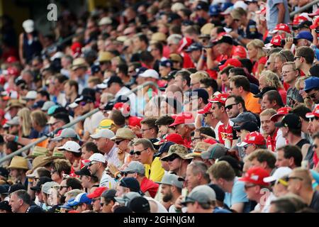 Fans in der Tribüne. 31.07.2016. Formel 1 Weltmeisterschaft, Rd 12, Großer Preis Von Deutschland, Hockenheim, Deutschland, Wettkampftag. Bildnachweis sollte lauten: XPB/Press Association Images. Stockfoto