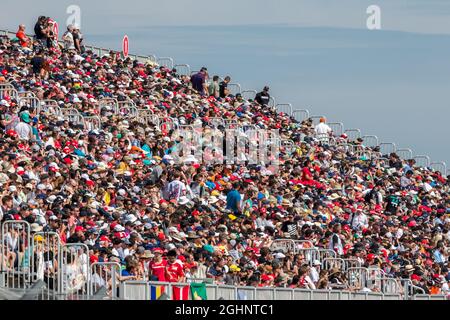 Fans in der Tribüne. 23.10.2016. Formel-1-Weltmeisterschaft, Rd 18, großer Preis der Vereinigten Staaten, Austin, Texas, USA, Wettkampftag. Bildnachweis sollte lauten: XPB/Press Association Images. Stockfoto