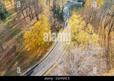 Herbstparklandschaft, Luftaufnahme. Kurvenreiche Fahrradstraße, umgeben von bunten gelben Bäumen. Stockfoto