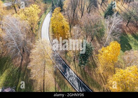 Gebogene Fahrradspur umgeben von bunten gelben Bäumen im Herbstpark. Blick von oben mit Drohne. Stockfoto