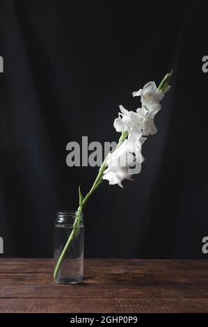 Zartes weißes Gladiolus in einer Glasvase steht auf einem Holztisch und einem braunen Stoffhintergrund Stockfoto