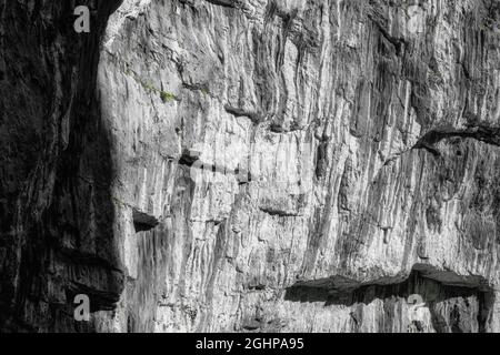 Eine graue Felswand mit Erosionen, Rissen und dunklen Schatten und einem kleinen grünen Grasfleck. Gesprungene Felsstruktur bei natürlichem Licht. Stockfoto