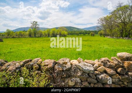 Landschaft. Pinilla de Buitrago, Provinz Madrid, Spanien. Stockfoto