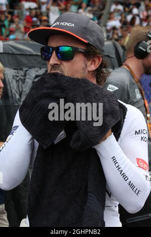 Fernando Alonso (ESP) McLaren am Start. 01.10.2017. Formel-1-Weltmeisterschaft, Rd 15, Großer Preis Von Malaysia, Sepang, Malaysia, Sonntag. Bildnachweis sollte lauten: XPB/Press Association Images. Stockfoto