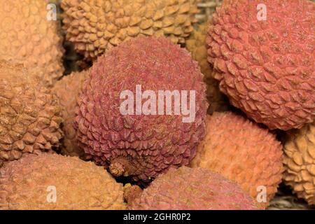 Litschi (Litchi chinensis), Litschi, chinesische Haselnuss, Litschi-Pflaume, Liebesfrucht, Obst, Obst, Ellerstadt, Deutschland Stockfoto