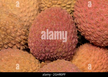 Litschi (Litchi chinensis), Litschi, chinesische Haselnuss, Litschi-Pflaume, Liebesfrucht, Obst, Obst, Ellerstadt, Deutschland Stockfoto