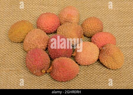 Litschi (Litchi chinensis), Litschi, chinesische Haselnuss, Litschi-Pflaume, Liebesfrucht, Obst, Obst, Ellerstadt, Deutschland Stockfoto