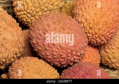 Litschi (Litchi chinensis), Litschi, chinesische Haselnuss, Litschi-Pflaume, Liebesfrucht, Obst, Obst, Ellerstadt, Deutschland Stockfoto