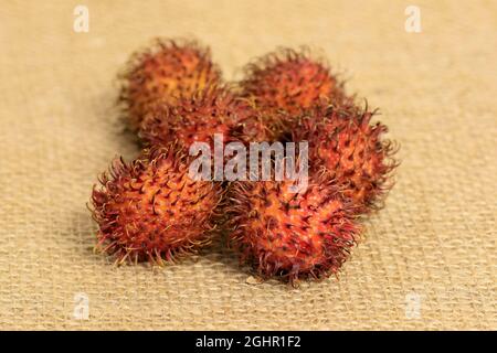 Rambutan (Nephelium lappaceum), Früchte, mit Haut, ungeschält, Deutschland Stockfoto