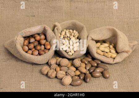 Nüsse, Mischung, Mandelbaum (Prunus dulcis), Hasel (Corylus avellana), Perserwalnuss (Juglans regia), Pekannüsse (Carya illinoinensis), Pistazien Stockfoto