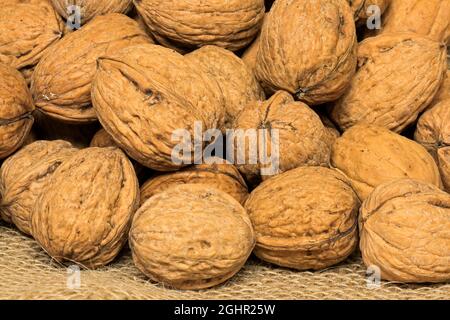 Persische Walnuss (Juglans regia), Früchte, Nüsse, mit Schale, ungeschält, Deutschland Stockfoto