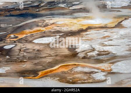 Abstrakte Details, heiße Quellen, farbenfrohe Mineralvorkommen im Porcelain Basin, Noris Geyser Basin, Yellowstone National Park, Wyoming, USA Stockfoto