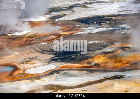 Abstrakte Details, heiße Quellen, farbenfrohe Mineralvorkommen im Porcelain Basin, Noris Geyser Basin, Yellowstone National Park, Wyoming, USA Stockfoto