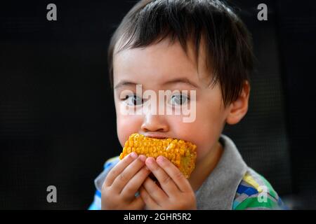 Kleinkind, 2 Jahre, multiethnisch, eurasisch, Porträt, Essen von gegrilltem Mais auf der Maiskolben, Stuttgart, Baden-Württemberg, Deutschland Stockfoto