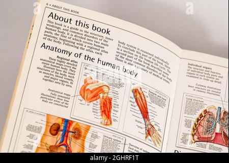 Öffnen Sie Seiten aus einer alten Ausgabe von Büchern über menschliche Körper, die von Medizinstudenten in der Vergangenheit verwendet wurden Stockfoto