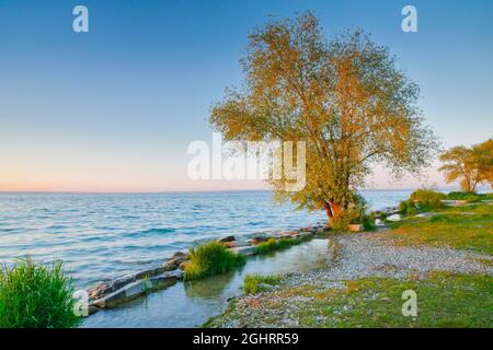 Von Bäumen geschmücktes Seeufer mit Abendblick von Arbon über den Bodensee, Thurgau, Schweiz Stockfoto