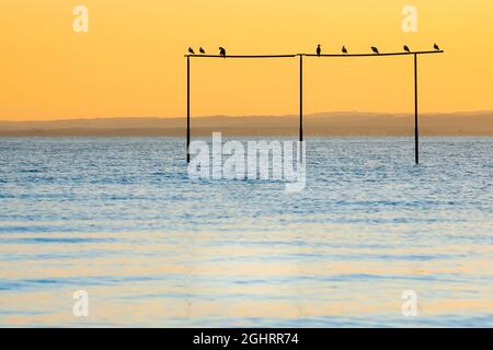 Blick von Arbon über den Bodensee bei Sonnenaufgang Stockfoto