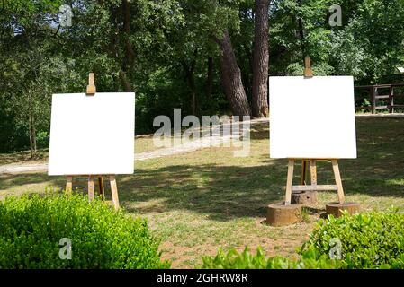 Die Staffelei mit einem weißen Blatt Papier steht vor dem Hintergrund einer ländlichen Landschaft. Isolierte Staffelei mit leerer Leinwand auf schönem Weizen Stockfoto