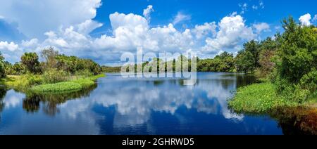 Große weiße Wolken spiegeln sich im See im Deer Prarie Creek Preserve in Venice Florida USA Stockfoto