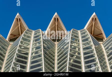 Museu de les Ciencies, Wissenschaftsmuseum Prince Philip, Stadt der Künste und Wissenschaften, Valencia, Spanien Stockfoto