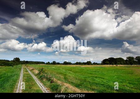 Säulenweg, Lochblechweg durch Wald und Wiesen, blauer Himmel mit weißen Wolken, innerdeutsche Grenzbefestigung, Grüner Gürtel, Grenze Stockfoto