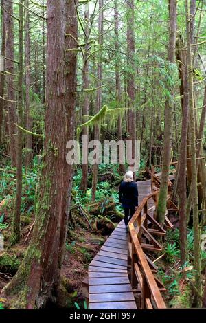Weg durch Regenwald Trail. Pacific Rim National Park, British Columbia, Kanada Stockfoto