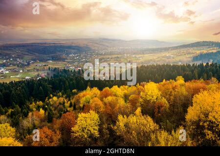 Blick von oben auf dichten Pinienwald mit Vordächern von grünen Fichten und bunt gelb üppigen Vordächer im Herbst Berge bei Sonnenuntergang. Stockfoto