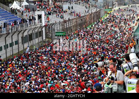 Fans auf dem Podium. 17.11.2019. Formel-1-Weltmeisterschaft, Rd 20, Großer Preis Von Brasilien, Sao Paulo, Brasilien, Wettkampftag. Bildnachweis sollte lauten: XPB/Press Association Images. Stockfoto