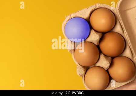 Ostereier braun im Öko-Korb und ein Ei auf gelbem Hintergrund. Frisches Ei am Morgen Frühstück, flach liegend, Kopierplatz. Stockfoto