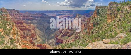 Luftaufnahme des Unkar Canyon und des Angels Fensters, North Rim, Grand Canyon, Arizona, USA Stockfoto