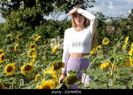 Teenagermädchen, das in einem Sonnenblumenfeld steht und ihre Augen vor der Sonne schützt, Frankreich Stockfoto