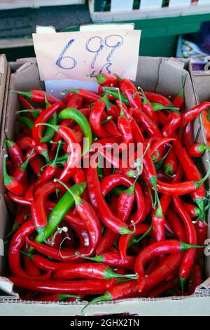 Cayennepfeffer, eine Art frischer roter Chili, die zur Herstellung von scharfer Sauce verwendet wird, sind auf dem Markt zu sehen. Stockfoto
