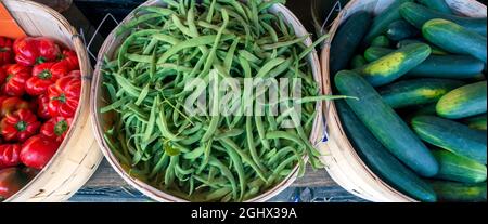 Lebensmittel-Banner Ernte von frischem Gemüse auf dem Markt. Stockfoto