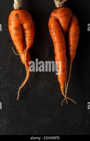 Hässliche Gemüsekarotten auf schwarzem Hintergrund. Draufsicht. Vertikale Ausrichtung Stockfoto